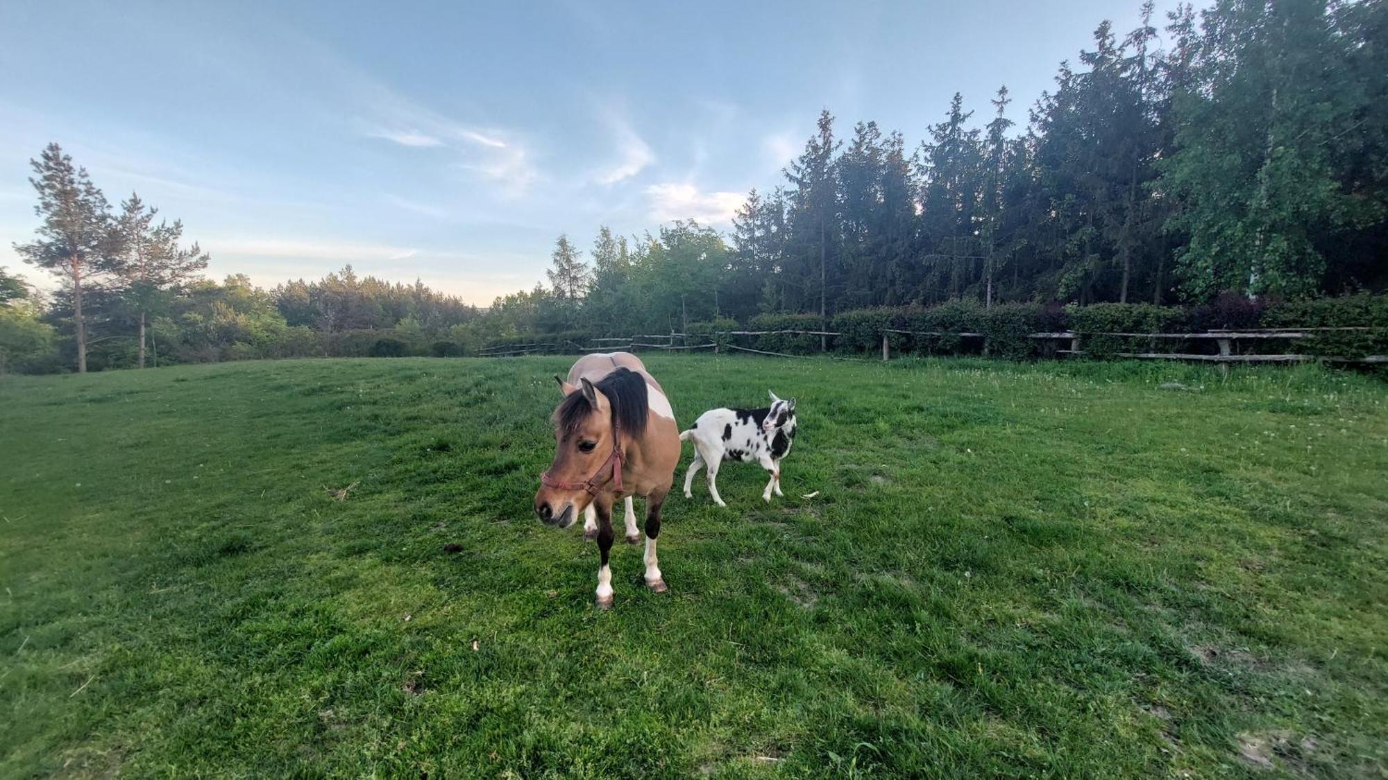 Na Wzgorzu Pension Polchowo Buitenkant foto